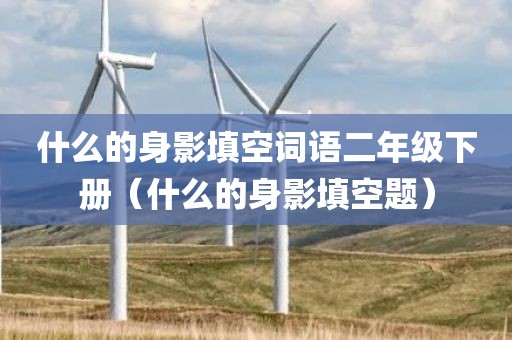 什么的身影填空词语二年级下册（什么的身影填空题）