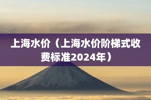 上海水价（上海水价阶梯式收费标准2024年）