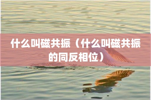 什么叫磁共振（什么叫磁共振的同反相位）