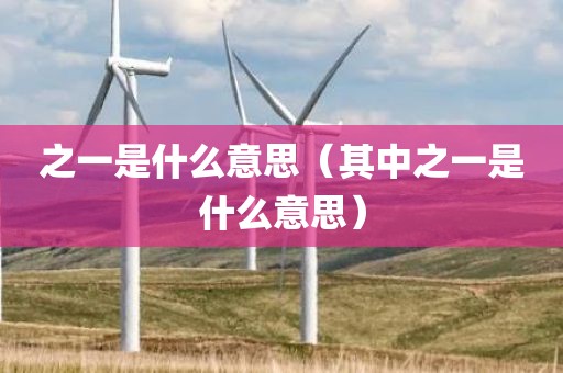 之一是什么意思（其中之一是什么意思）