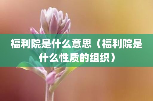 福利院是什么意思（福利院是什么性质的组织）