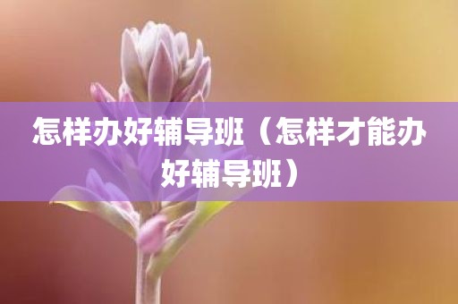 怎样办好辅导班（怎样才能办好辅导班）