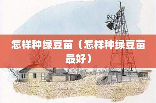 怎样种绿豆苗（怎样种绿豆苗最好）