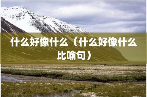 什么好像什么（什么好像什么比喻句）