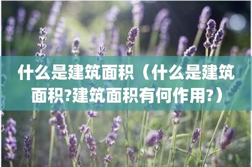 什么是建筑面积（什么是建筑面积?建筑面积有何作用?）