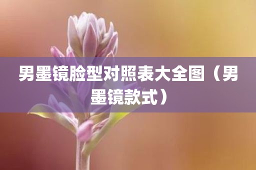 男墨镜脸型对照表大全图（男墨镜款式）