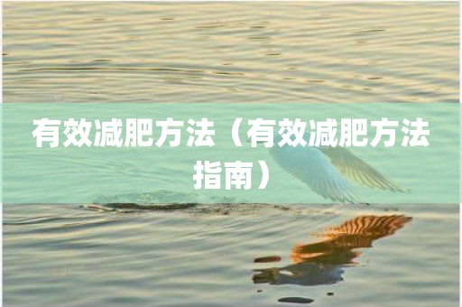 有效减肥方法（有效减肥方法指南）