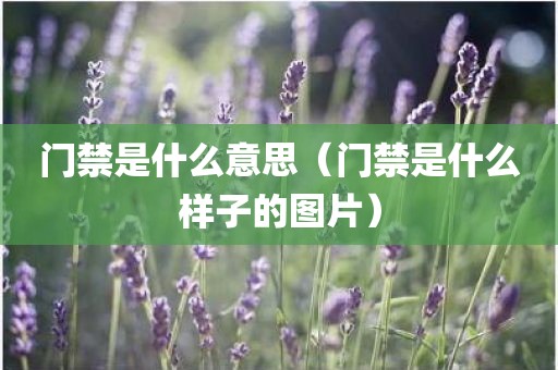 门禁是什么意思（门禁是什么样子的图片）