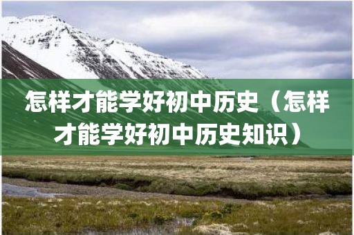 怎样才能学好初中历史（怎样才能学好初中历史知识）