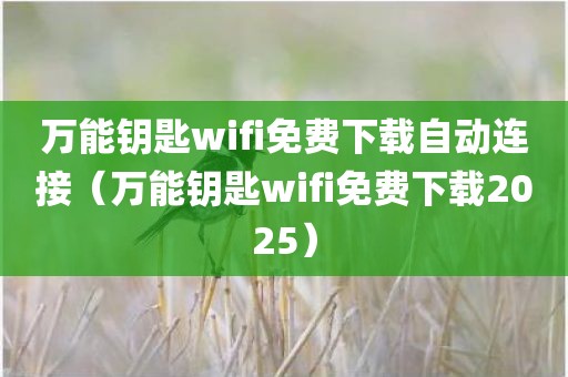 万能钥匙wifi免费下载自动连接（万能钥匙wifi免费下载2025）
