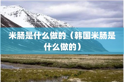 米肠是什么做的（韩国米肠是什么做的）