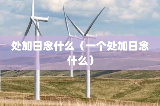 处加日念什么（一个处加日念什么）