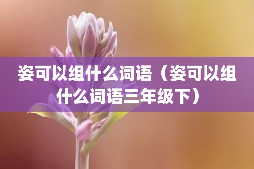 姿可以组什么词语（姿可以组什么词语三年级下）