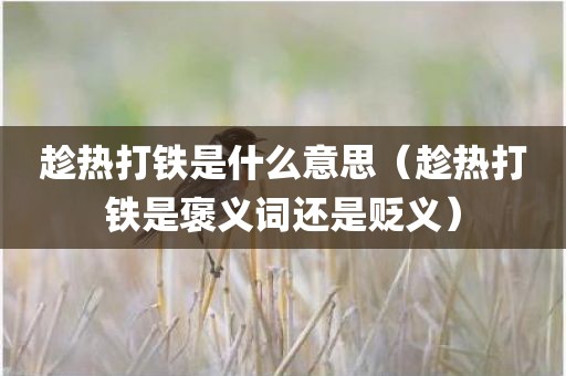 趁热打铁是什么意思（趁热打铁是褒义词还是贬义）