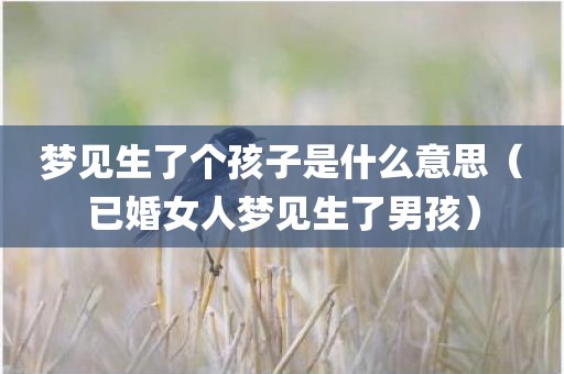 梦见生了个孩子是什么意思(已婚女人梦见生了男孩)
