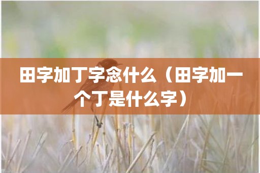 田字加丁字念什么（田字加一个丁是什么字）