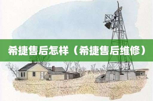 希捷售后怎样（希捷售后维修）