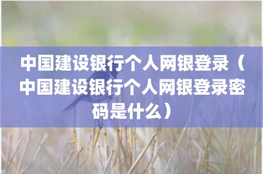中国建设银行个人网银登录（中国建设银行个人网银登录密码是什么）