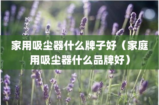 家用吸尘器什么牌子好（家庭用吸尘器什么品牌好）