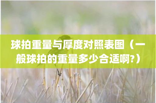 球拍重量与厚度对照表图（一般球拍的重量多少合适啊?）