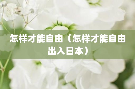 怎样才能自由（怎样才能自由出入日本）