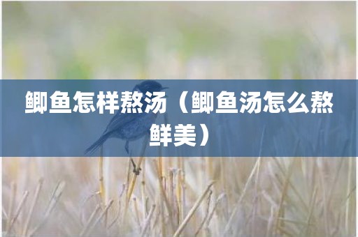 鲫鱼怎样熬汤（鲫鱼汤怎么熬鲜美）