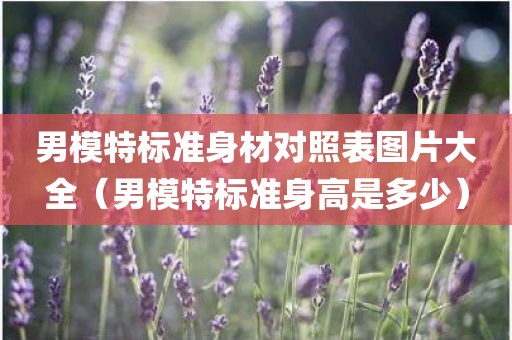 男模特标准身材对照表图片大全（男模特标准身高是多少）