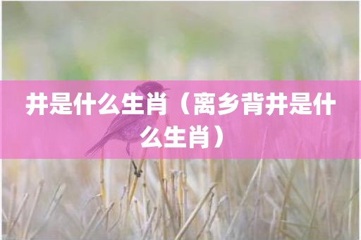 井是什么生肖（离乡背井是什么生肖）