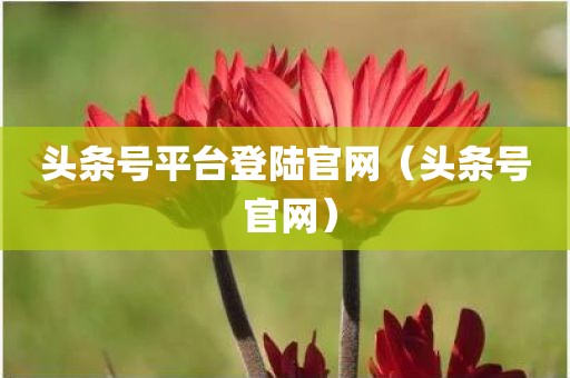 头条号平台登陆官网（头条号 官网）
