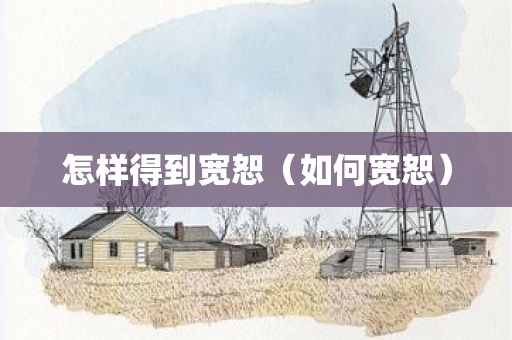 怎样得到宽恕（如何宽恕）