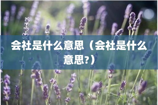 会社是什么意思（会社是什么意思?）