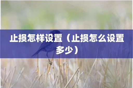 止损怎样设置（止损怎么设置多少）