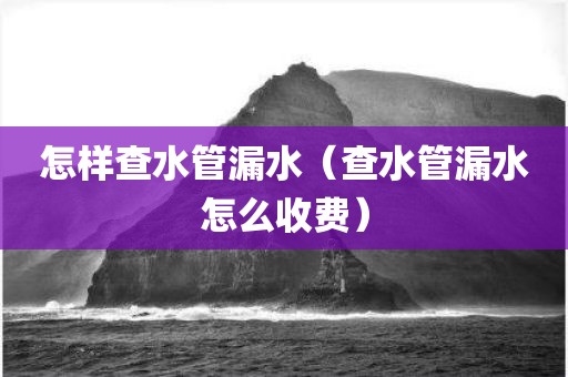 怎样查水管漏水（查水管漏水怎么收费）