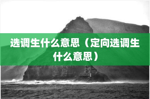 选调生什么意思（定向选调生什么意思）
