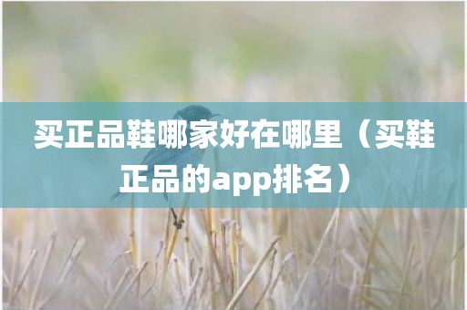 买正品鞋哪家好在哪里（买鞋正品的app排名）