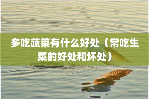 多吃蔬菜有什么好处（常吃生菜的好处和坏处）