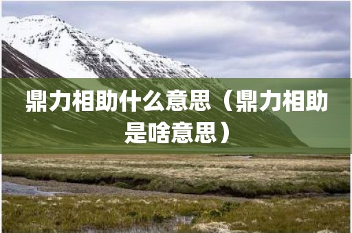 鼎力相助什么意思（鼎力相助是啥意思）