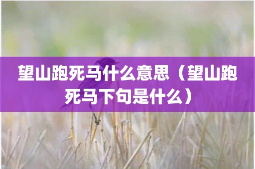 望山跑死马什么意思（望山跑死马下句是什么）