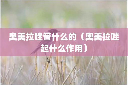 奥美拉唑管什么的（奥美拉唑起什么作用）