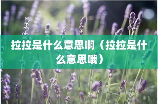 拉拉是什么意思啊（拉拉是什么意思哦）