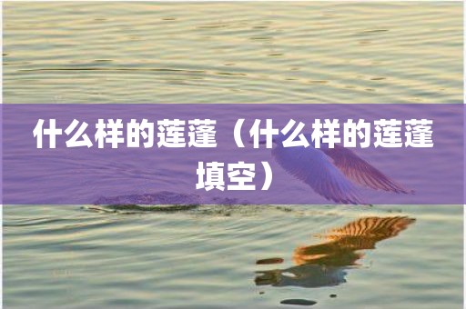 什么样的莲蓬（什么样的莲蓬填空）
