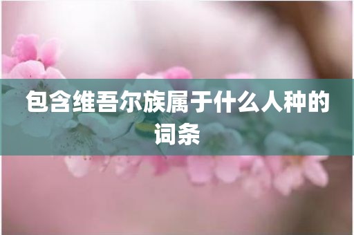 包含维吾尔族属于什么人种的词条