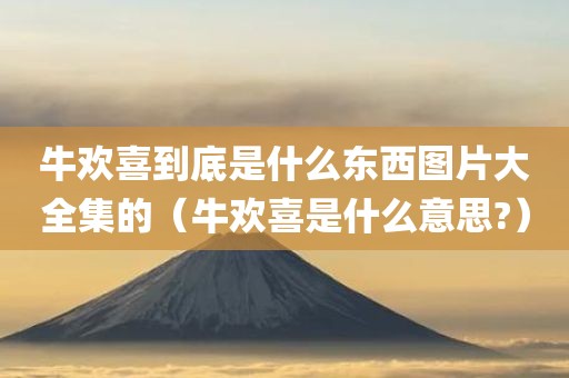牛欢喜到底是什么东西图片大全集的（牛欢喜是什么意思?）