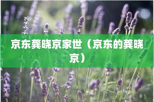 京东龚晓京家世（京东的龚晓京）