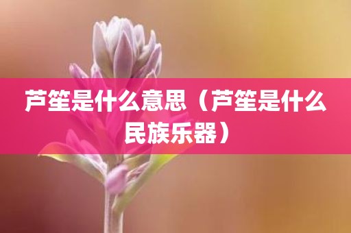 芦笙是什么意思(芦笙是什么民族乐器)