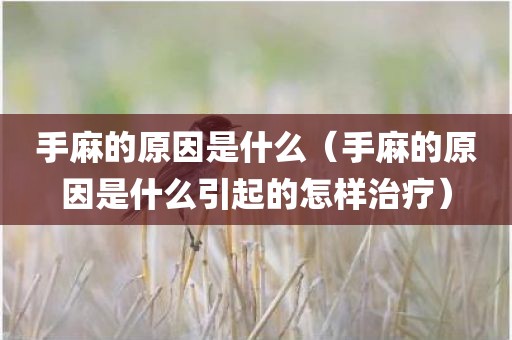 手麻的原因是什么（手麻的原因是什么引起的怎样治疗）