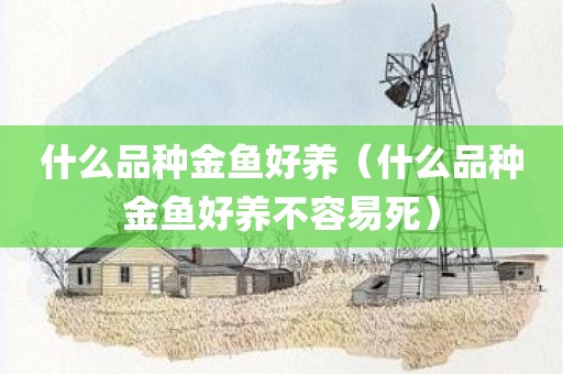 什么品种金鱼好养（什么品种金鱼好养不容易死）