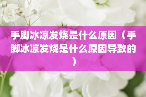 手脚冰凉发烧是什么原因（手脚冰凉发烧是什么原因导致的）