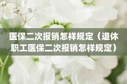 医保二次报销怎样规定（退休职工医保二次报销怎样规定）