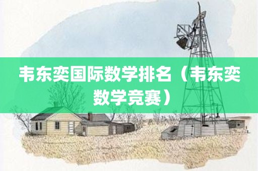 韦东奕国际数学排名（韦东奕 数学竞赛）